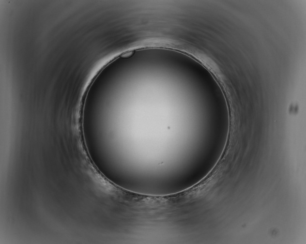 X0000100860912200806201214