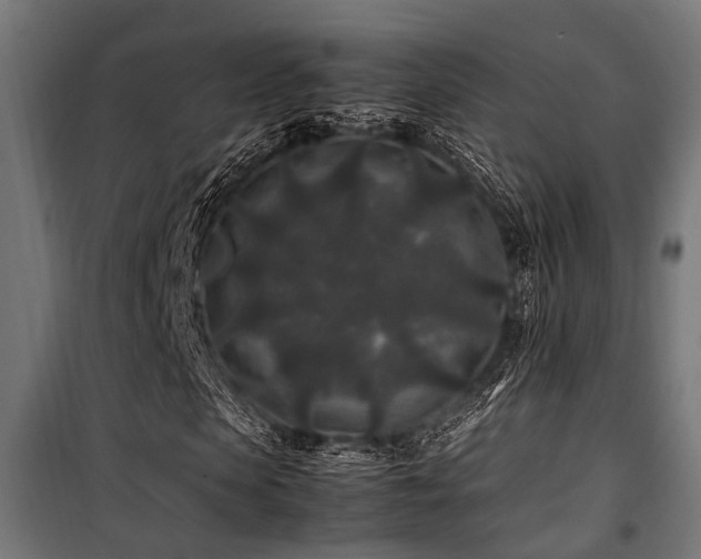 X0000100860913200806201213