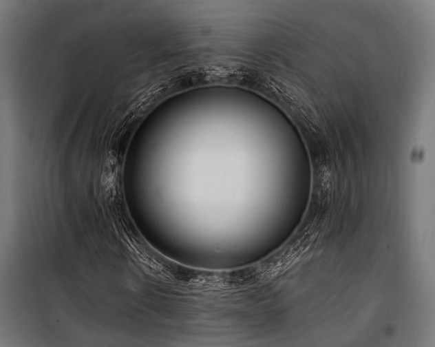 X0000100860914200806201213