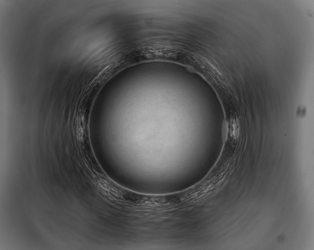 X0000100860915200806201213