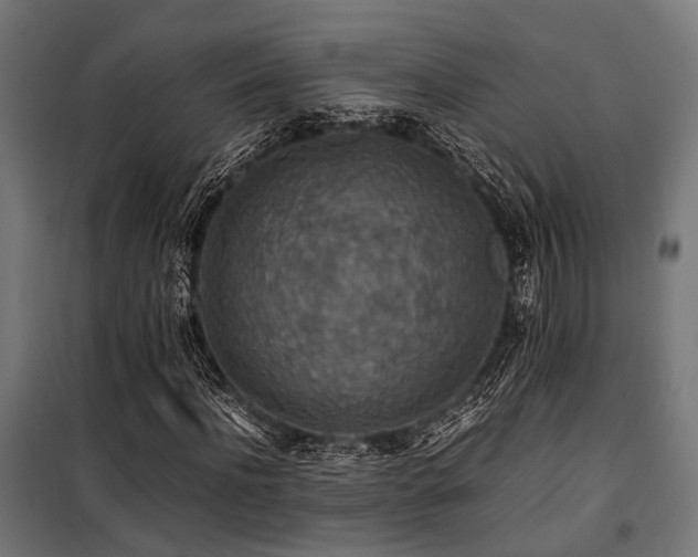 X0000100860916200806201213