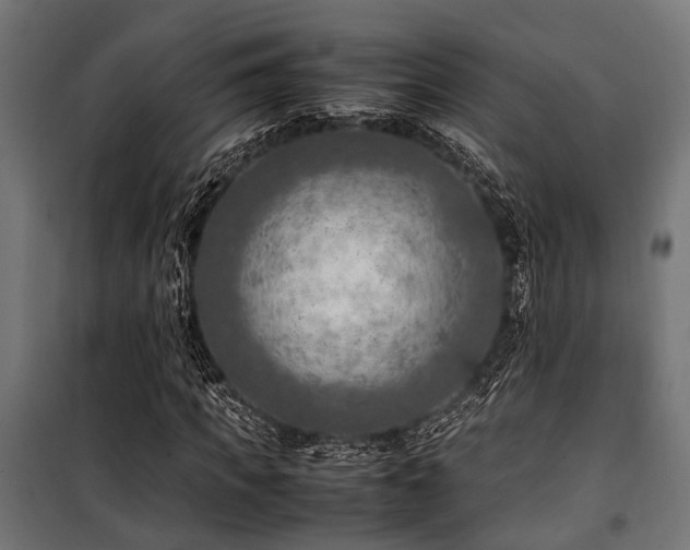 X0000100860917200806201213