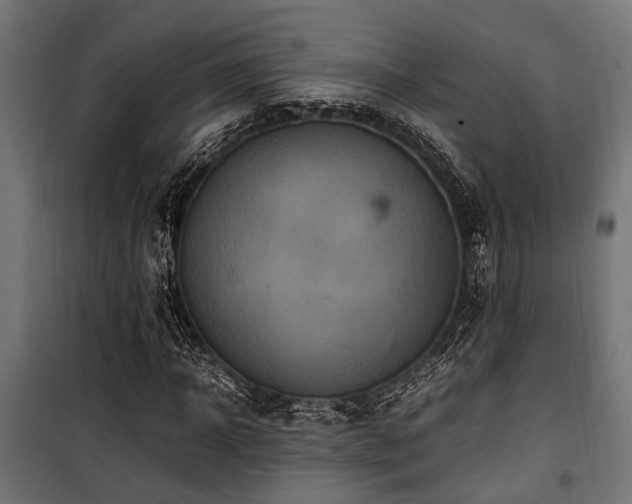 X0000100860918200806201213