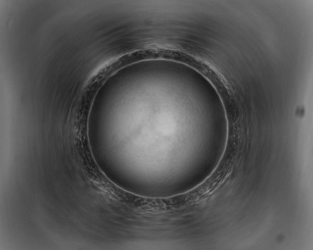 X0000100860919200806201213