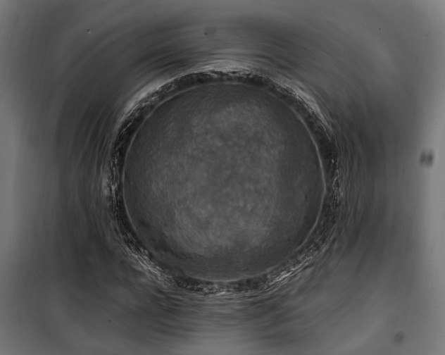 X0000100860920200806201213