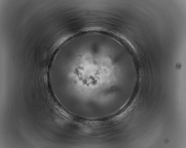 X0000100860921200806201213