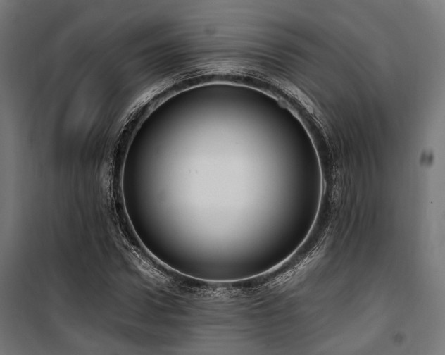 X0000100860922200806201213