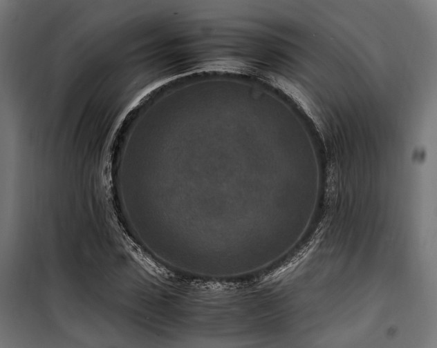 X0000100860923200806201213