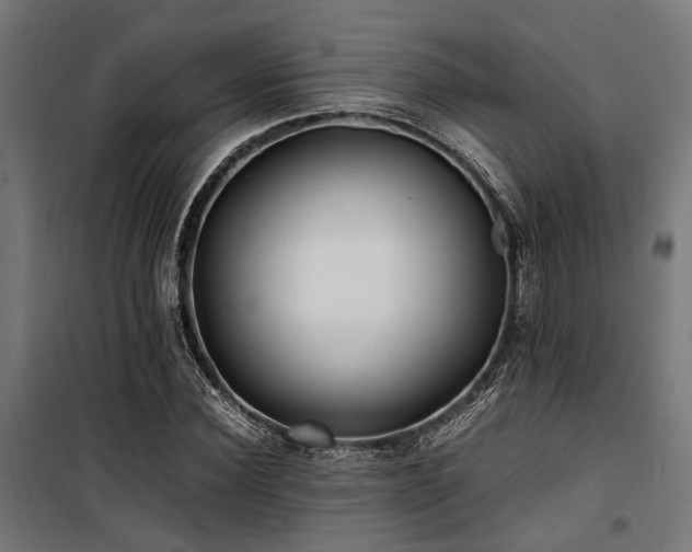 X0000100860924200806201213