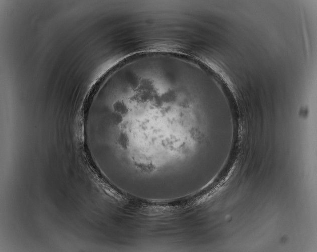 X0000100860925200806201213