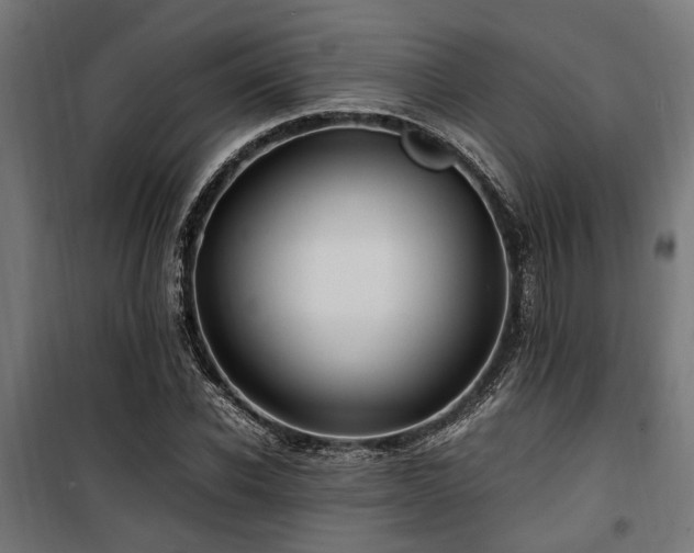 X0000100860926200806201213