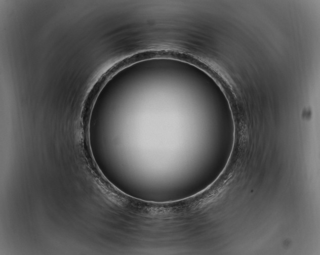 X0000100860927200806201213