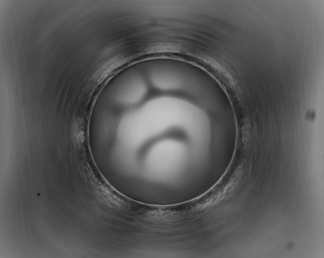 X0000100860929200806201213