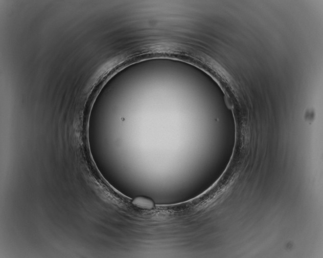 X0000100860930200806201213