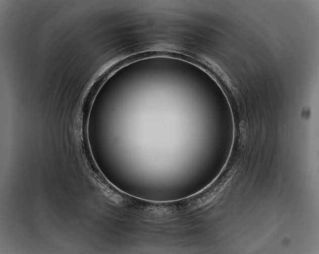 X0000100860931200806201213