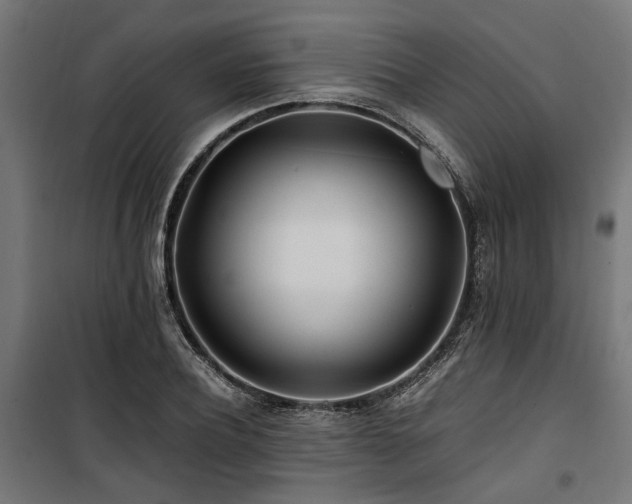 X0000100860932200806201213