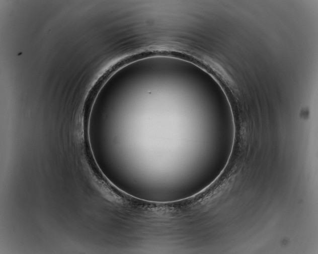 X0000100860934200806201213