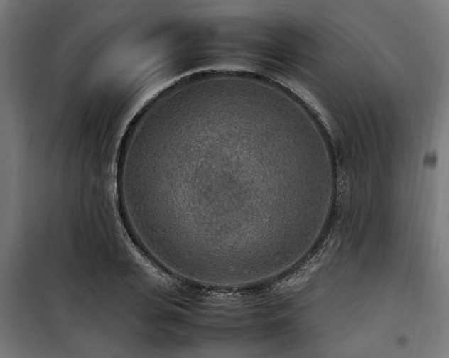 X0000100860935200806201213