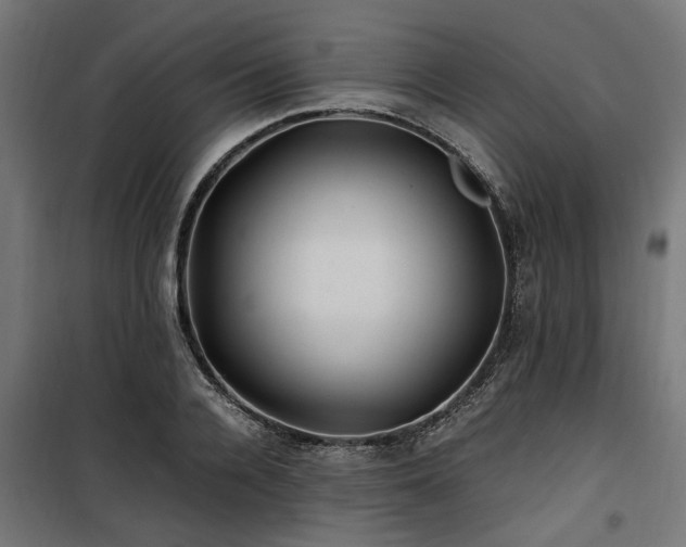 X0000100860936200806201213