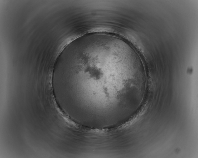 X0000100860937200806201213