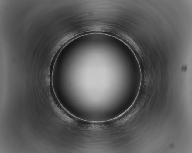 X0000100860938200806201213