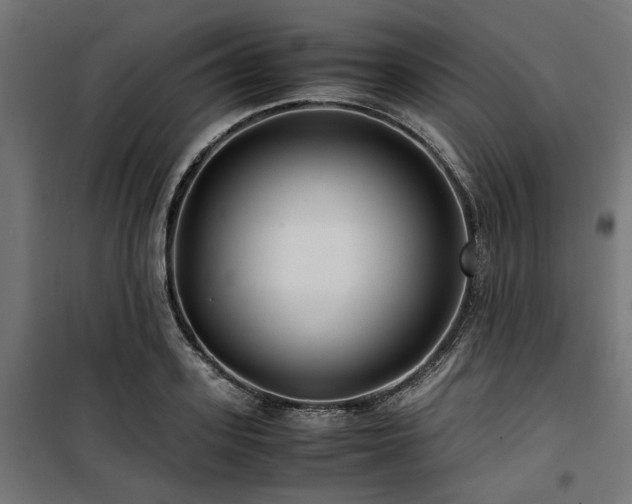 X0000100860939200806201213