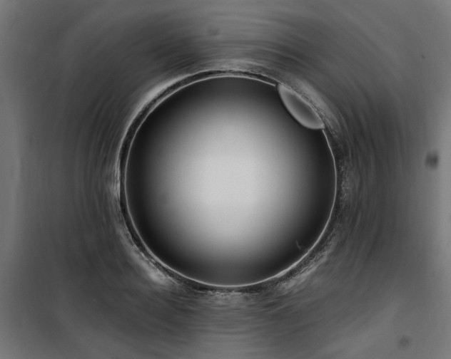 X0000100860940200806201213