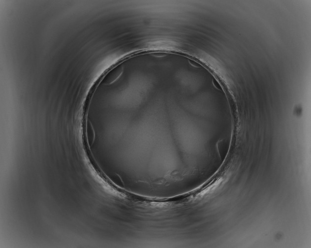 X0000100860941200806201213