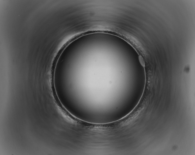 X0000100860942200806201213