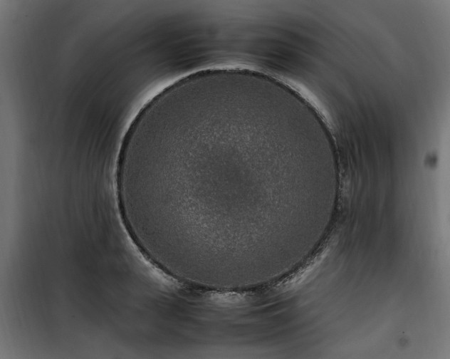 X0000100860943200806201214