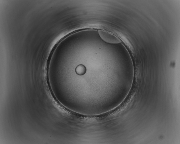 X0000100860944200806201214