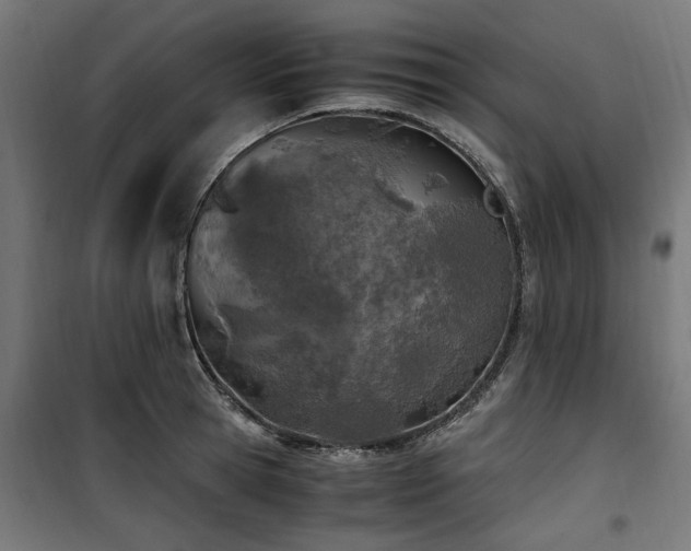 X0000100860945200806201214