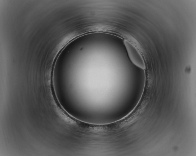 X0000100860946200806201214