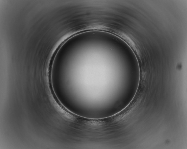 X0000100860947200806201214