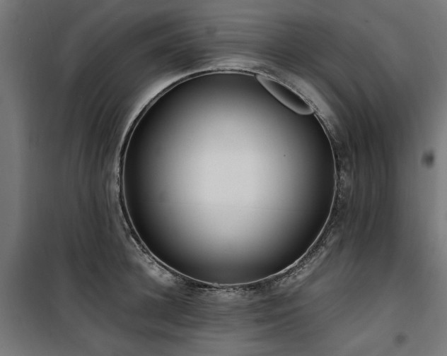 X0000100860948200806201214