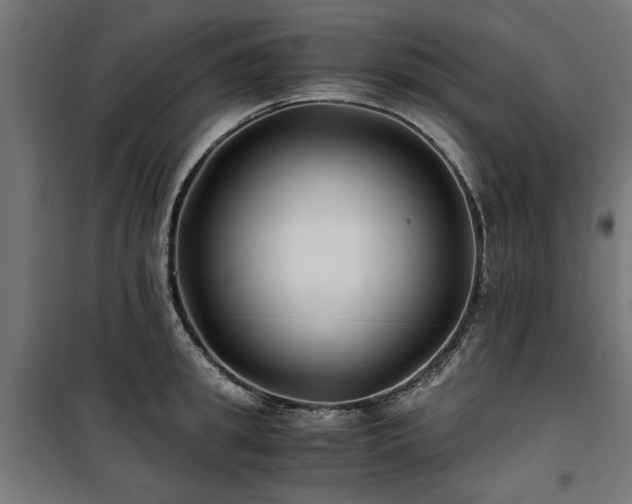 X0000100860949200806201214