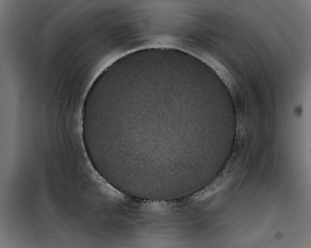 X0000100860950200806201214