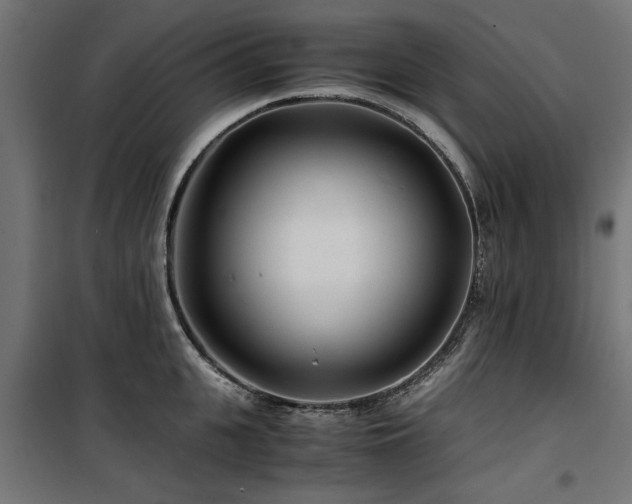 X0000100860951200806201214