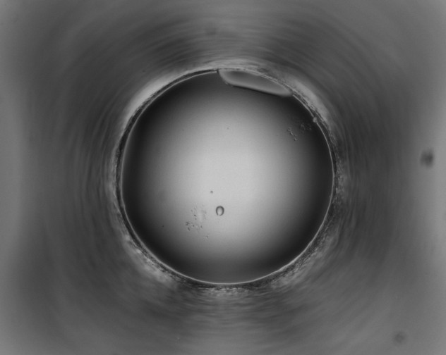 X0000100860952200806201214