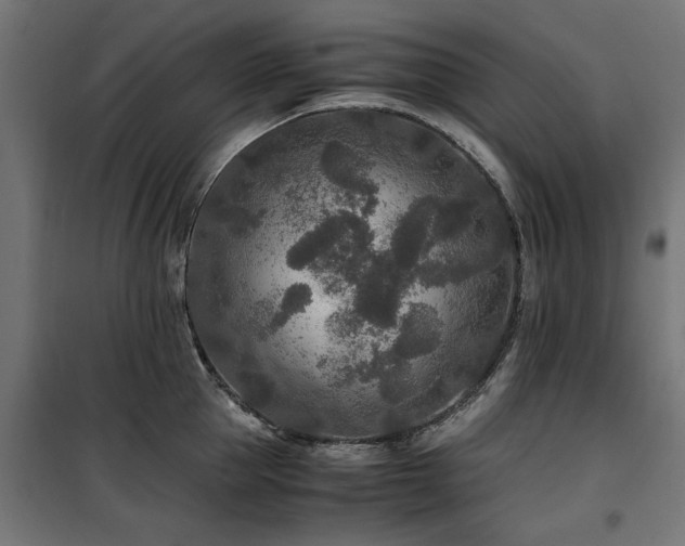 X0000100860953200806201214