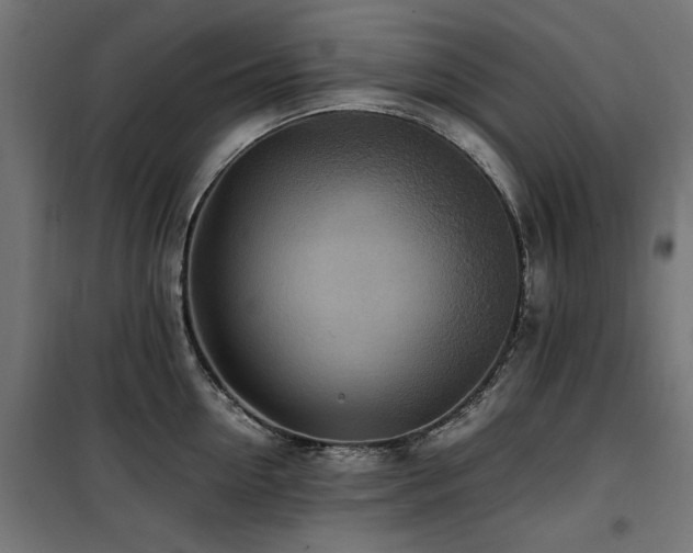 X0000100860954200806201214