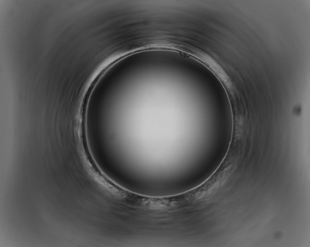 X0000100860955200806201214