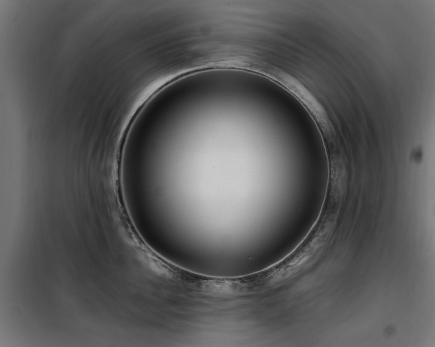 X0000100860956200806201214