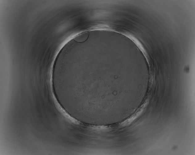 X0000100860957200806201214