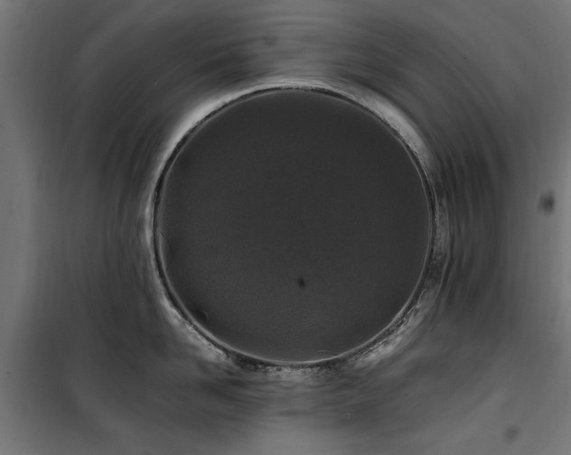 X0000100860958200806201214