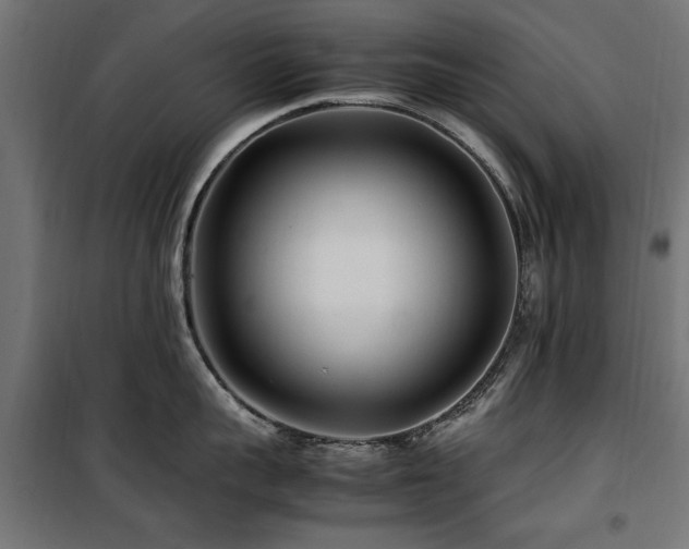 X0000100860959200806201214