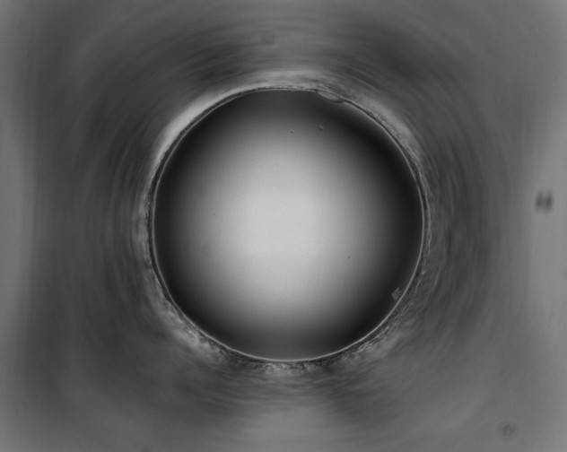 X0000100860960200806201214