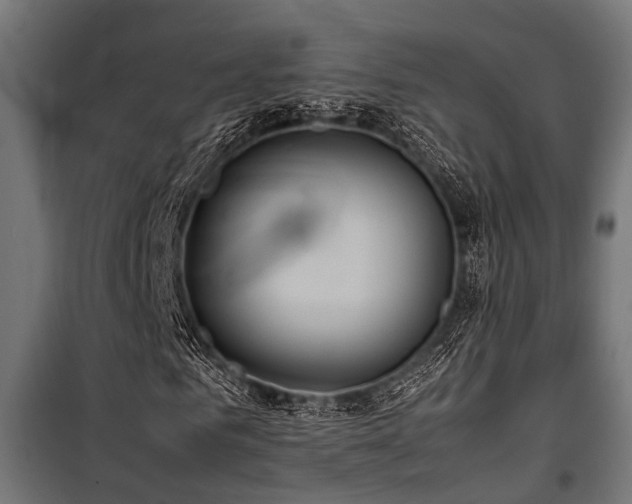 X0000100860961200806201213