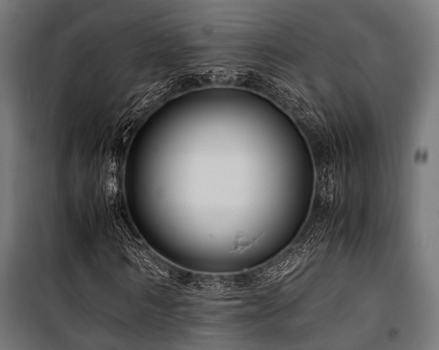 X0000100860962200806201213