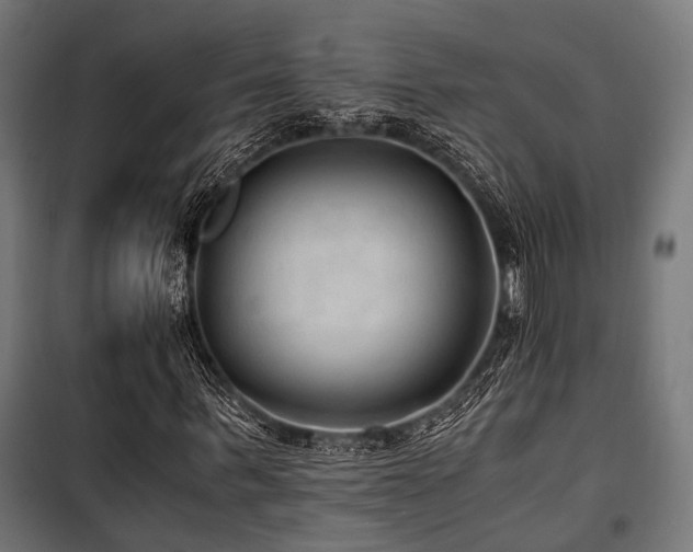 X0000100860963200806201213